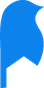 BLUE VIRD 로고