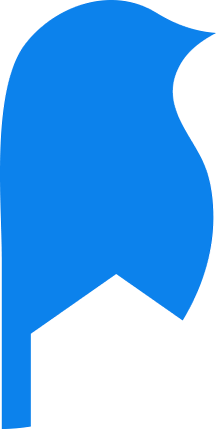 BLUE VIRD 심볼