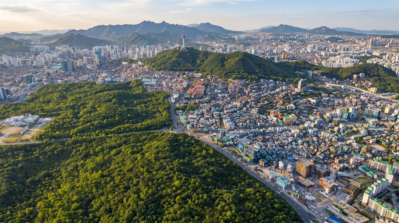 남산에서 한강까지 — 사업지 일대 전경