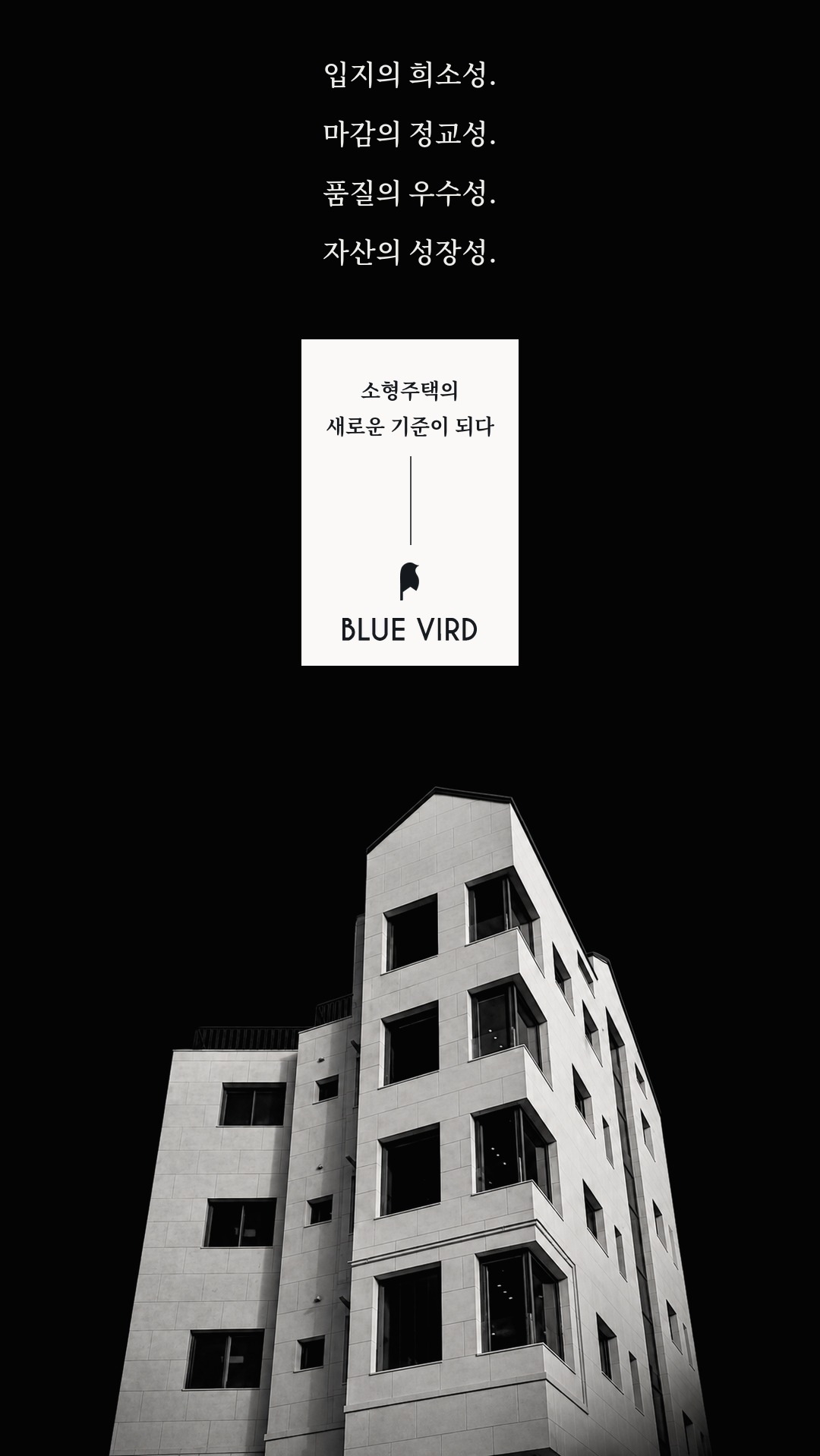 BLUE VIRD 브랜드 포스터